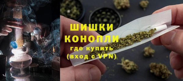 крисы Сатка