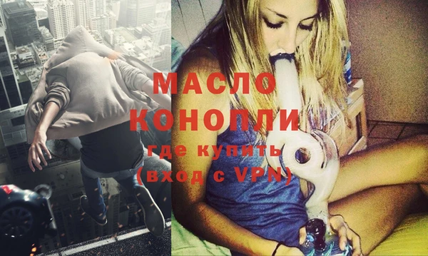 крисы Сатка