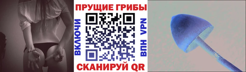 Галлюциногенные грибы GOLDEN TEACHER  Купить  Ленск 