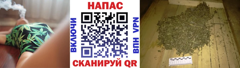 Конопля план  Купить где  Ленск 